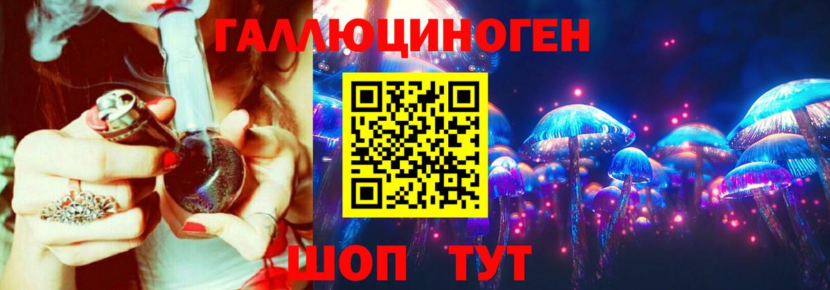Псилоцибиновые грибы Cubensis Каменка